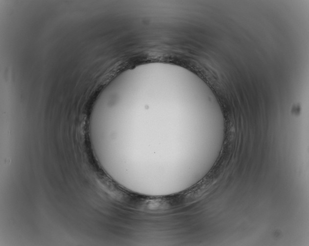 X0000091570275200708200957