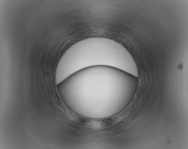 X0000091570276200708200957