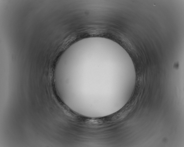 X0000091570277200708200957