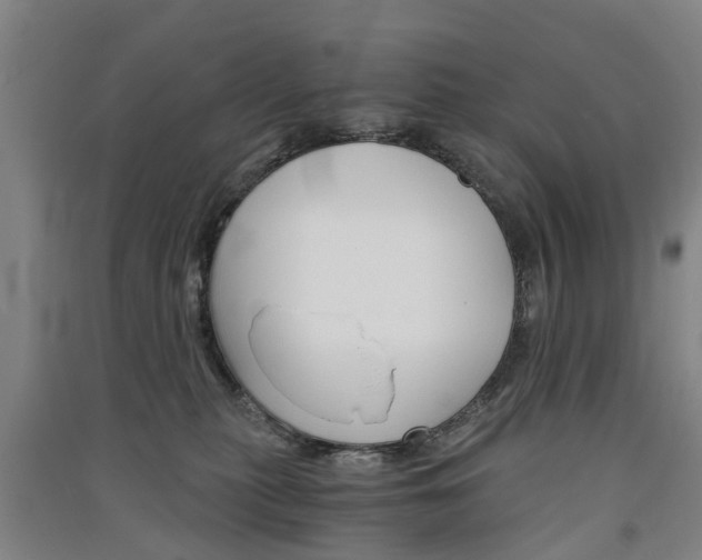 X0000091570279200708200957