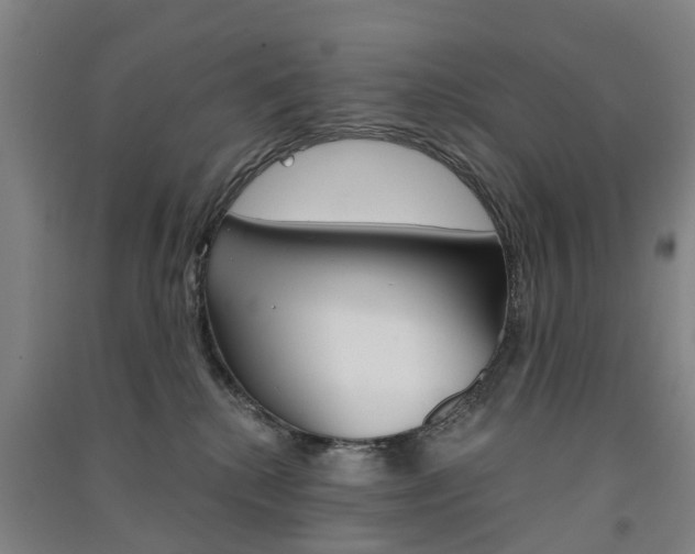 X0000091570280200708200958