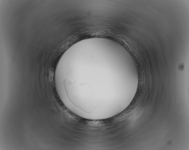 X0000091570281200708200958