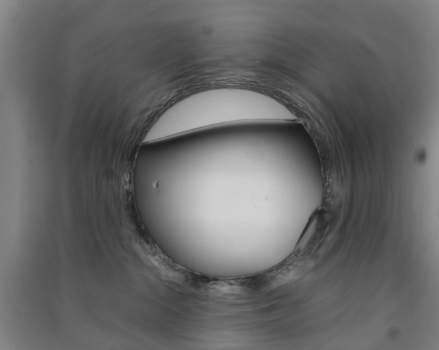X0000091570284200708200958