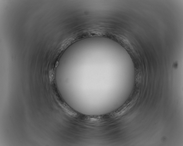 X0000091570285200708200958
