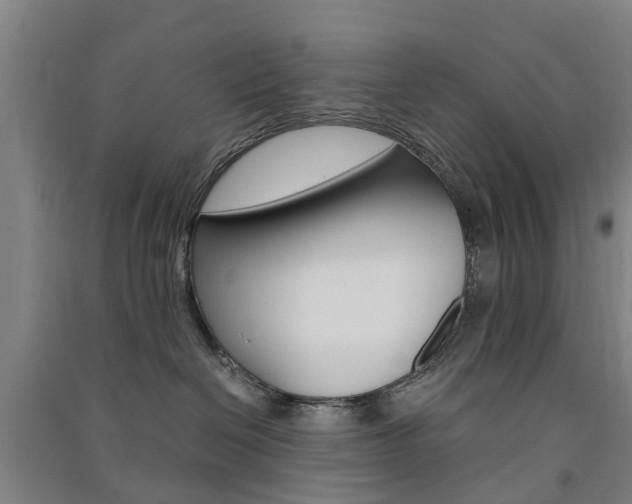 X0000091570286200708200958