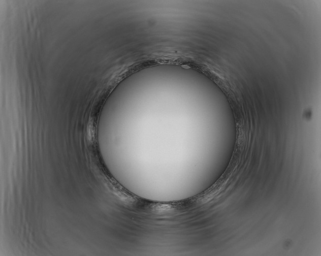 X0000091570287200708200958