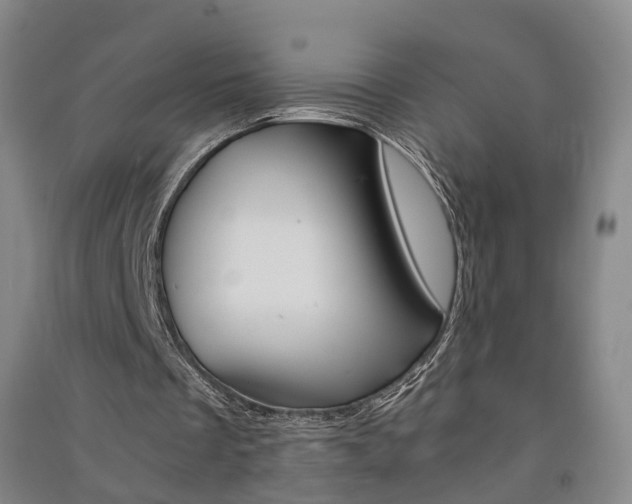 X0000091570289200708200957