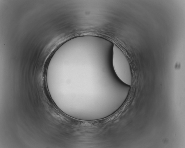 X0000091570290200708200957