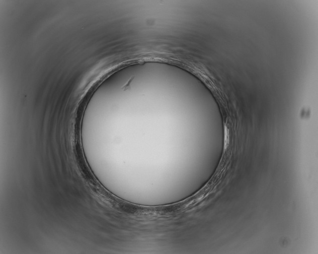 X0000091570291200708200957