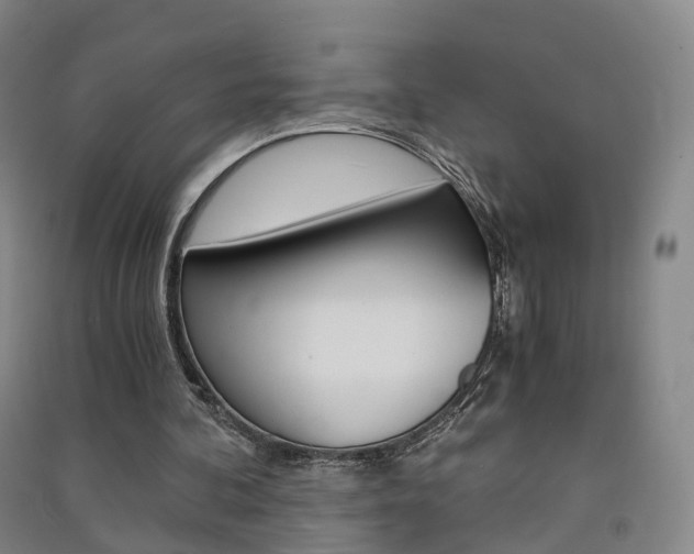 X0000091570292200708200957