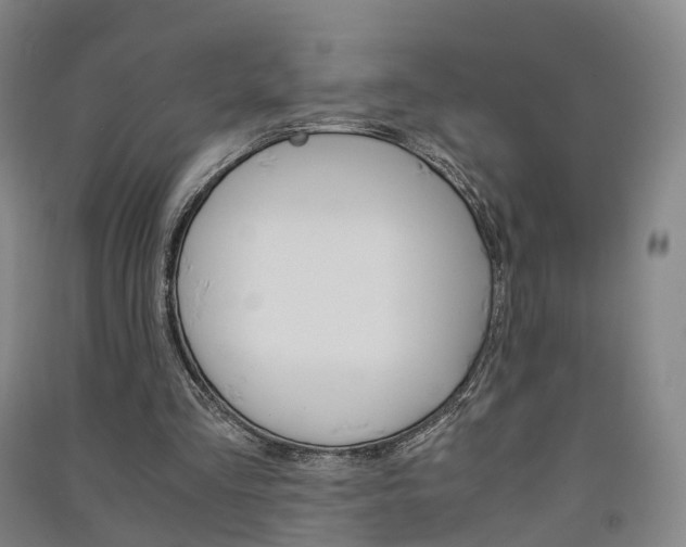 X0000091570293200708200957