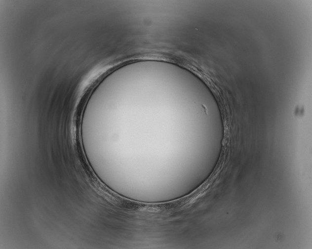 X0000091570294200708200957