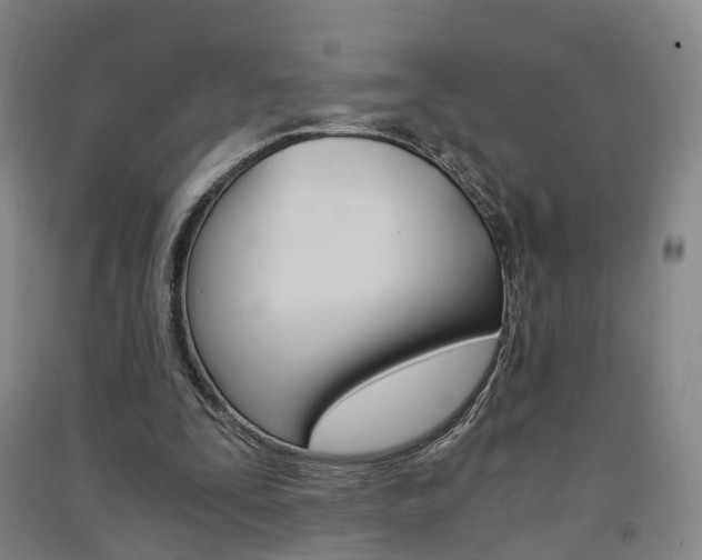 X0000091570295200708200957
