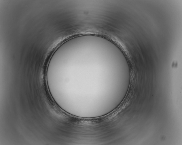 X0000091570298200708200957