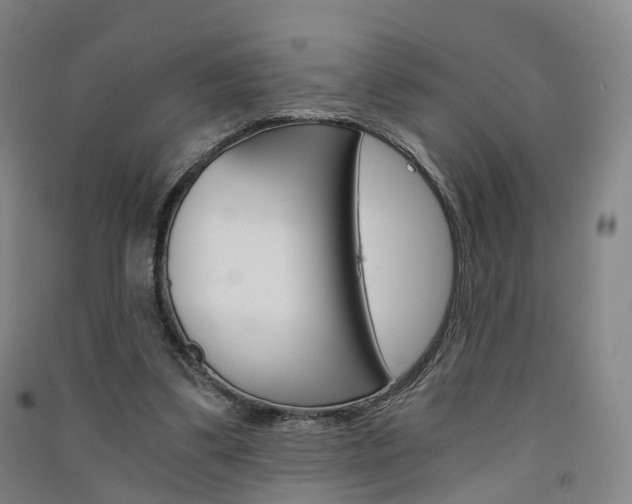 X0000091570299200708200957