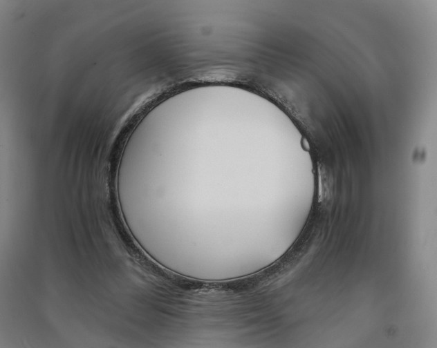 X0000091570300200708200957