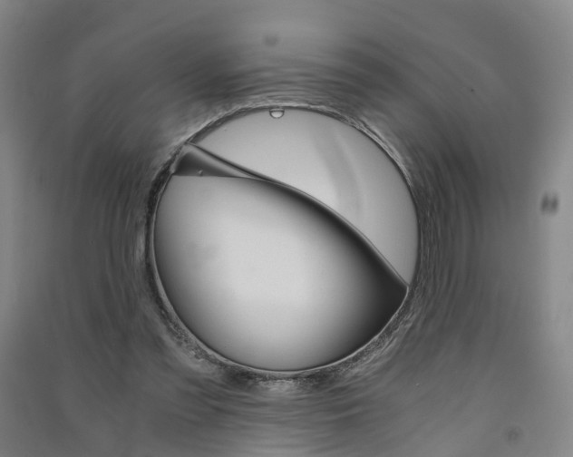 X0000091570301200708200957