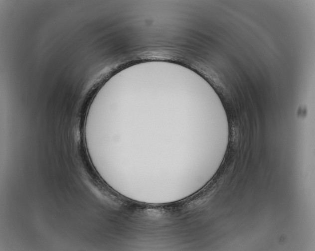 X0000091570302200708200957