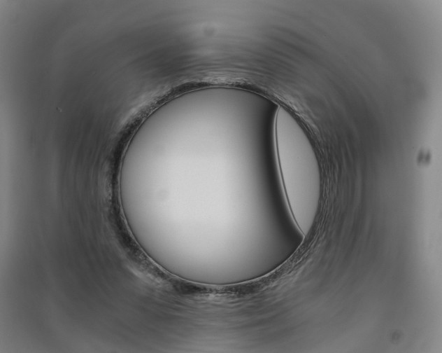 X0000091570303200708200957