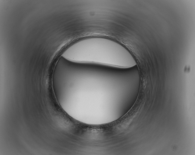 X0000091570304200708200957