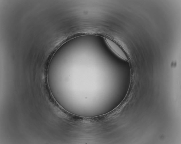 X0000091570305200708200957