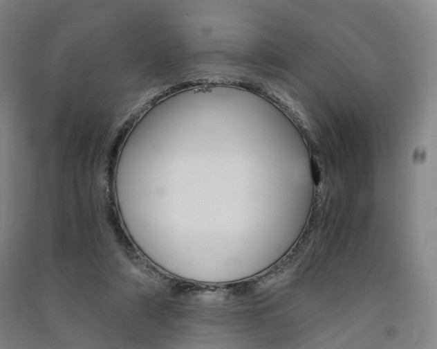 X0000091570306200708200957