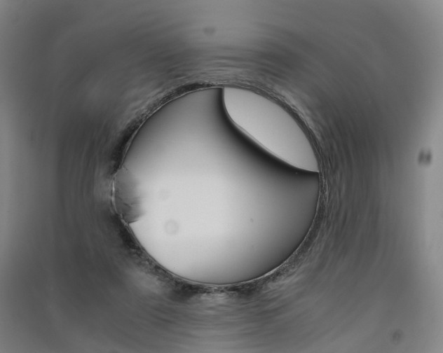 X0000091570307200708200957