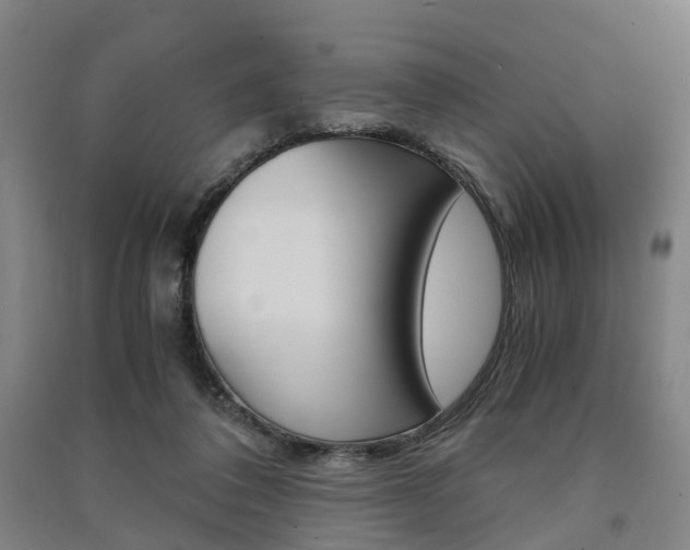 X0000091570308200708200957