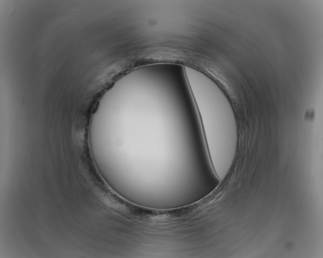 X0000091570309200708200957