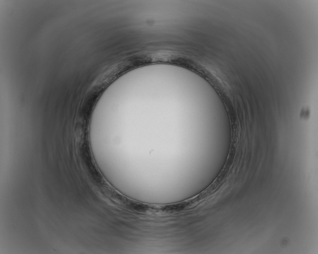 X0000091570311200708200957