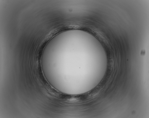 X0000091570312200708200957