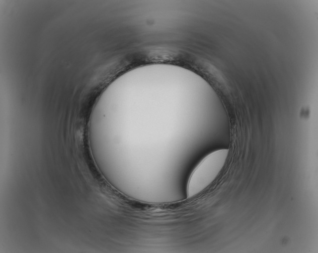 X0000091570315200708200957