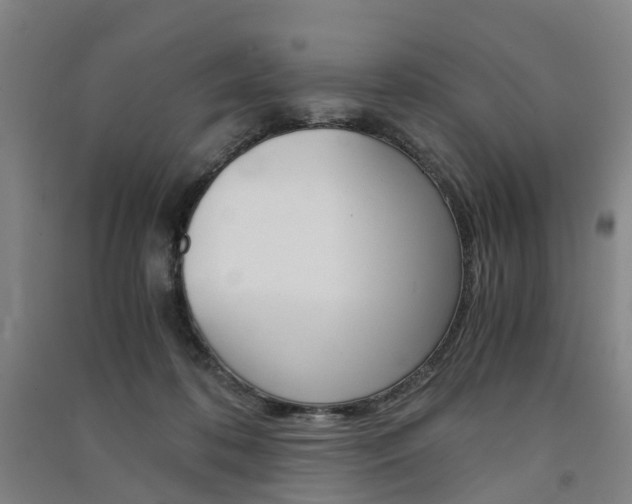 X0000091570316200708200957