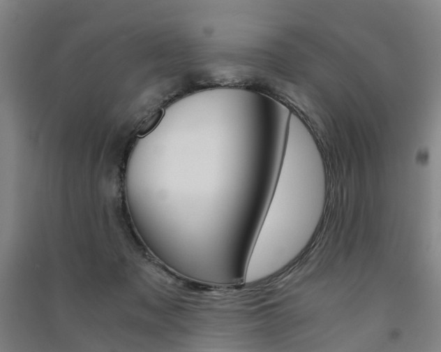 X0000091570317200708200957