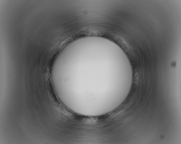 X0000091570318200708200957
