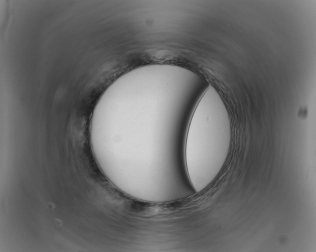 X0000091570319200708200957