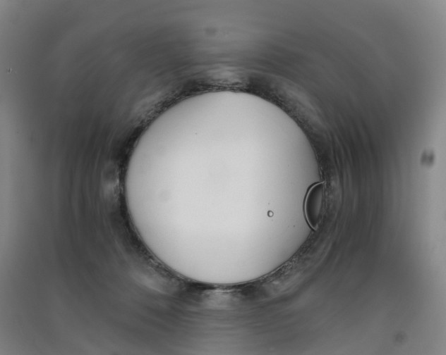 X0000091570320200708200957