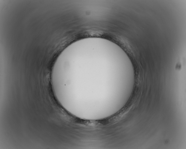 X0000091570321200708200957