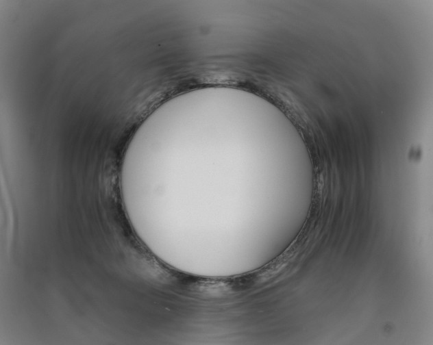 X0000091570322200708200956