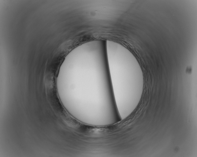 X0000091570323200708200956
