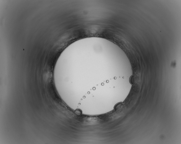 X0000091570324200708200956
