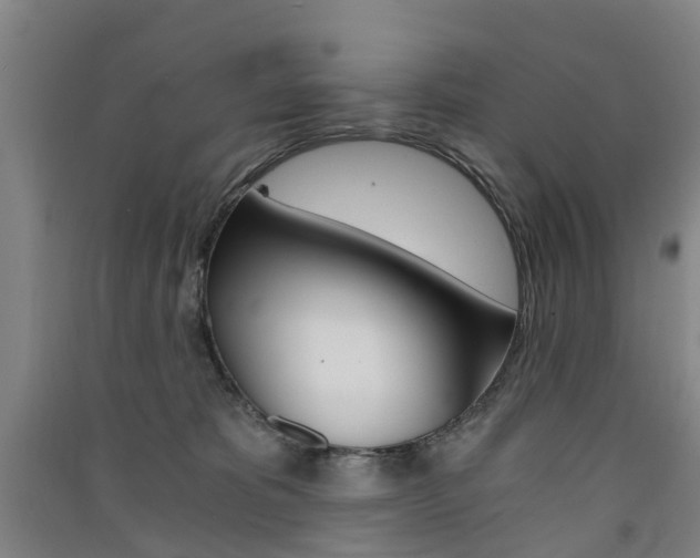 X0000091570325200708200956