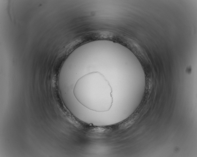 X0000091570326200708200956