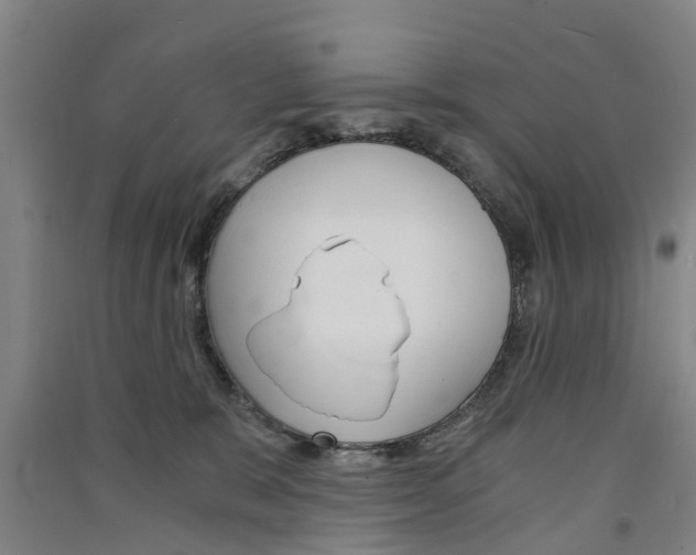 X0000091570327200708200956