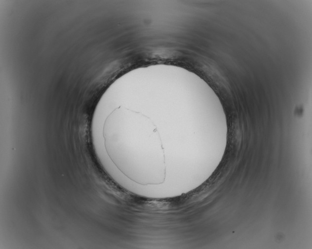 X0000091570328200708200956