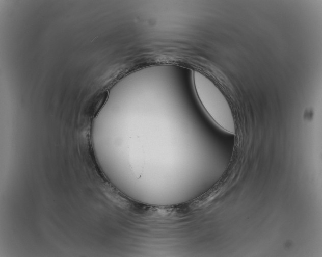 X0000091570329200708200956