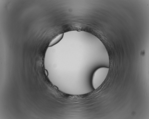 X0000091570331200708200956
