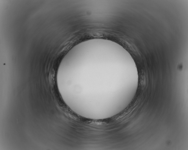 X0000091570332200708200956