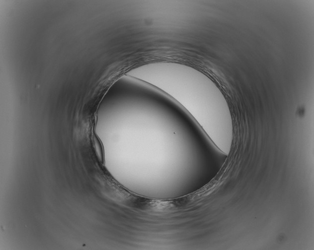 X0000091570333200708200956