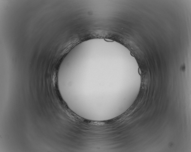 X0000091570334200708200956